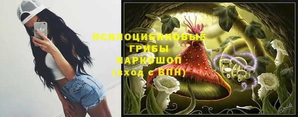 индика Алексеевка