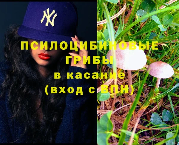 индика Алексеевка