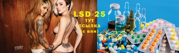 индика Алексеевка